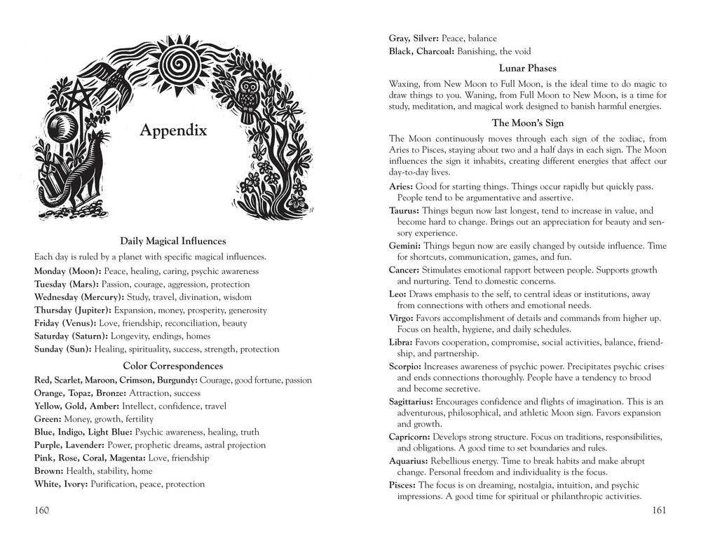Llewellyn's 2027 Witches' Datebook: Daily Magic