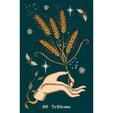 Herbarium Oracle – Elisa Seitzinger & Stregadellemele | 36-Card Botanical Oracle Deck