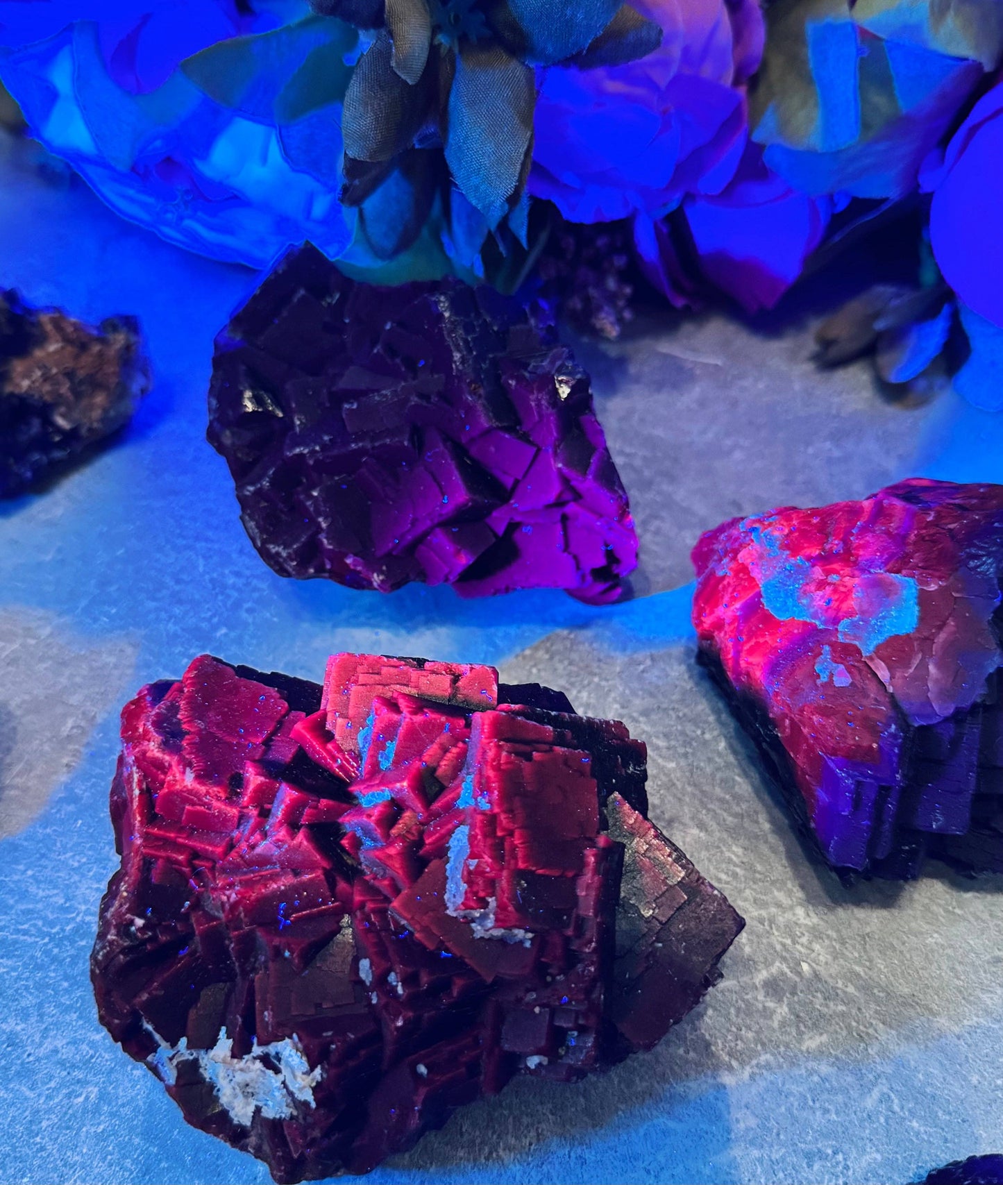 RARE Black Rose Fluorite Specimens, Fluorescent Red or Pink