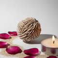 Desert Rose Hero