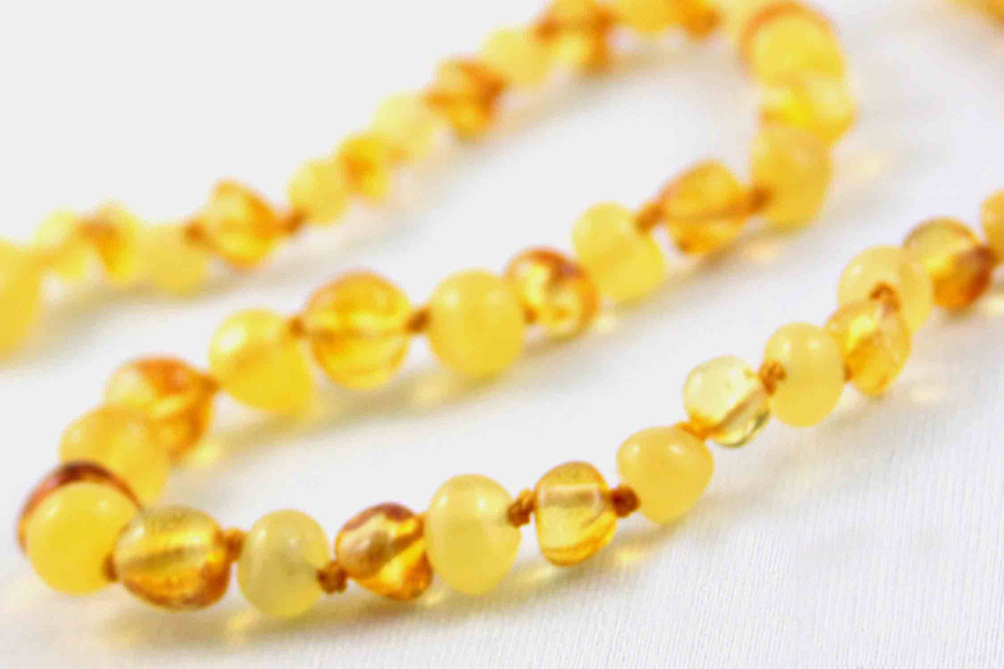 Baltic Amber Necklace - Duo Gold & Cream Circle 11"