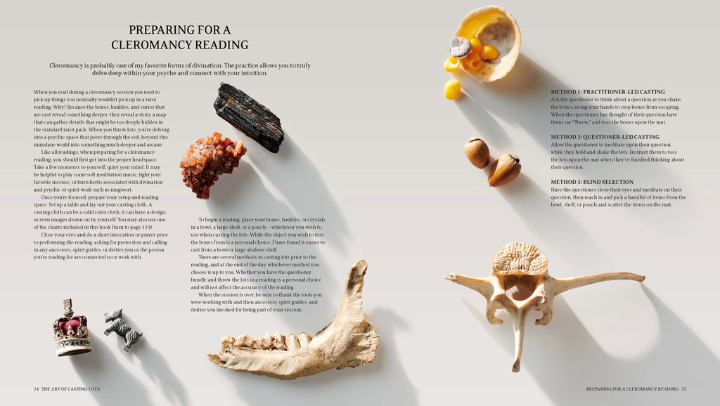 Throwing Bones: Fortune Casting with Crystals, Stones & Curios by Mystic Dylan