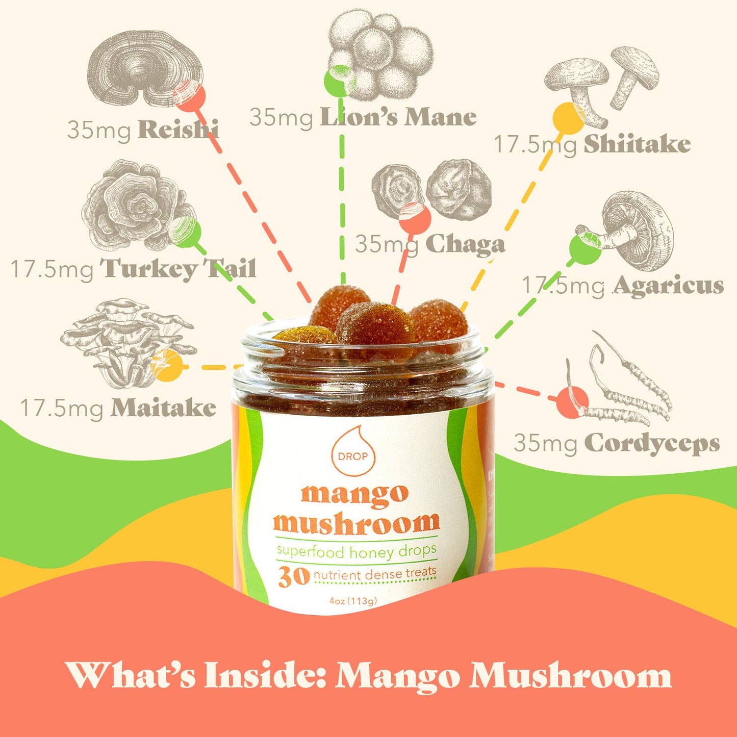 Mango Mushroom | Mushroom Honey Gummy | Immune & Pain Relief