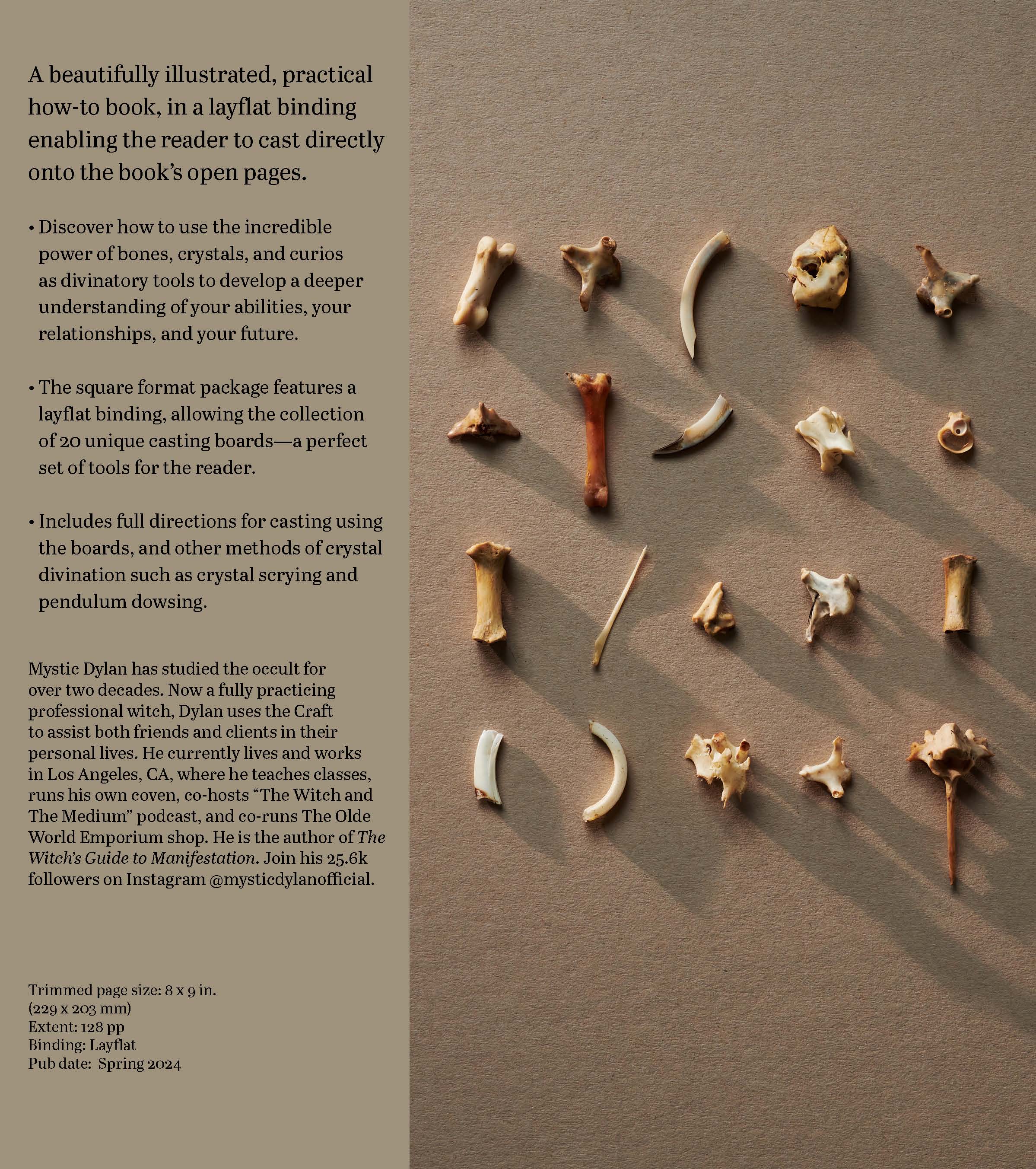 Throwing Bones: Fortune Casting with Crystals, Stones & Curios by Mystic Dylan