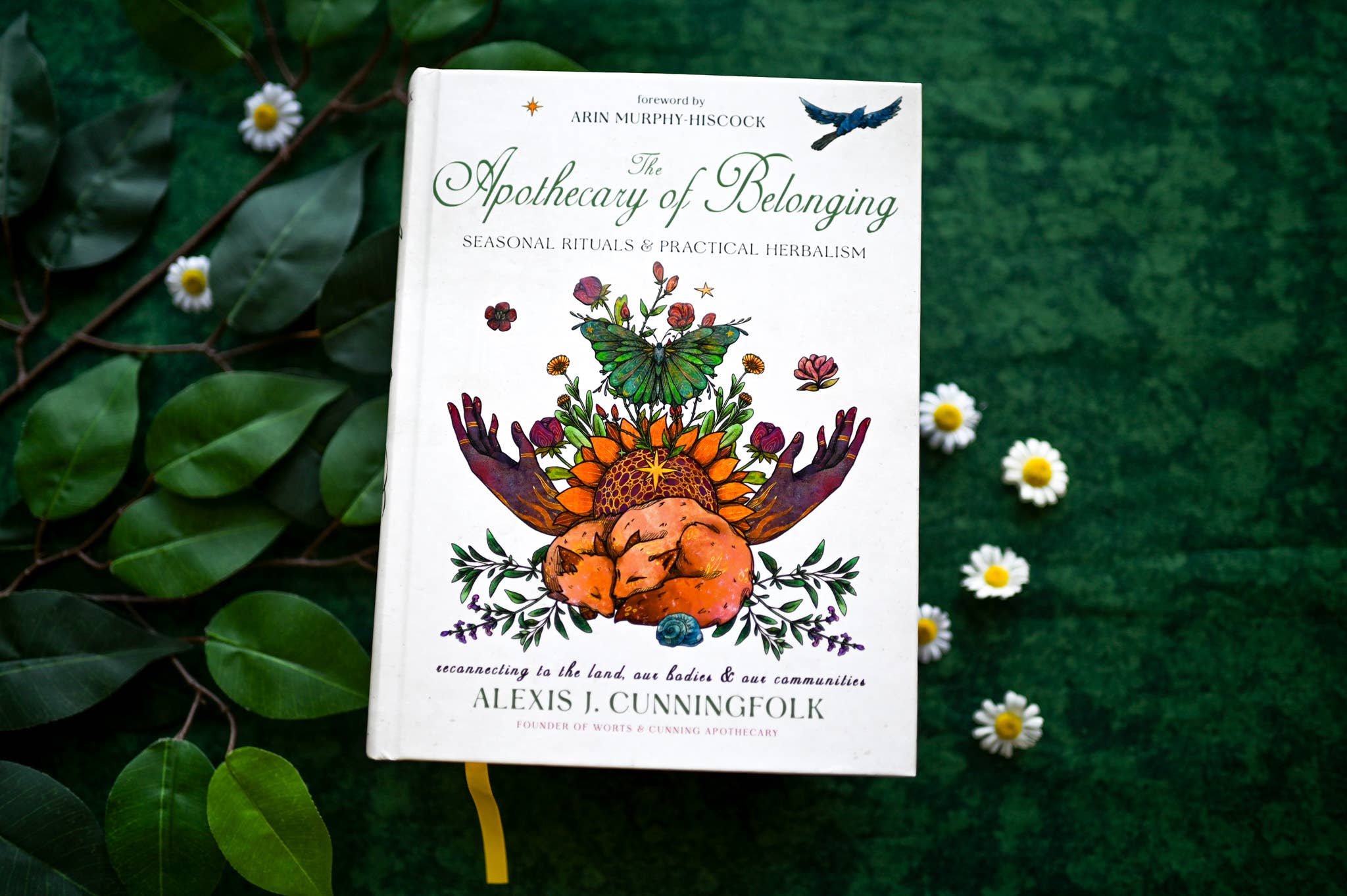 The Apothecary of Belonging: Seasonal Rituals & Herbalism for Connection