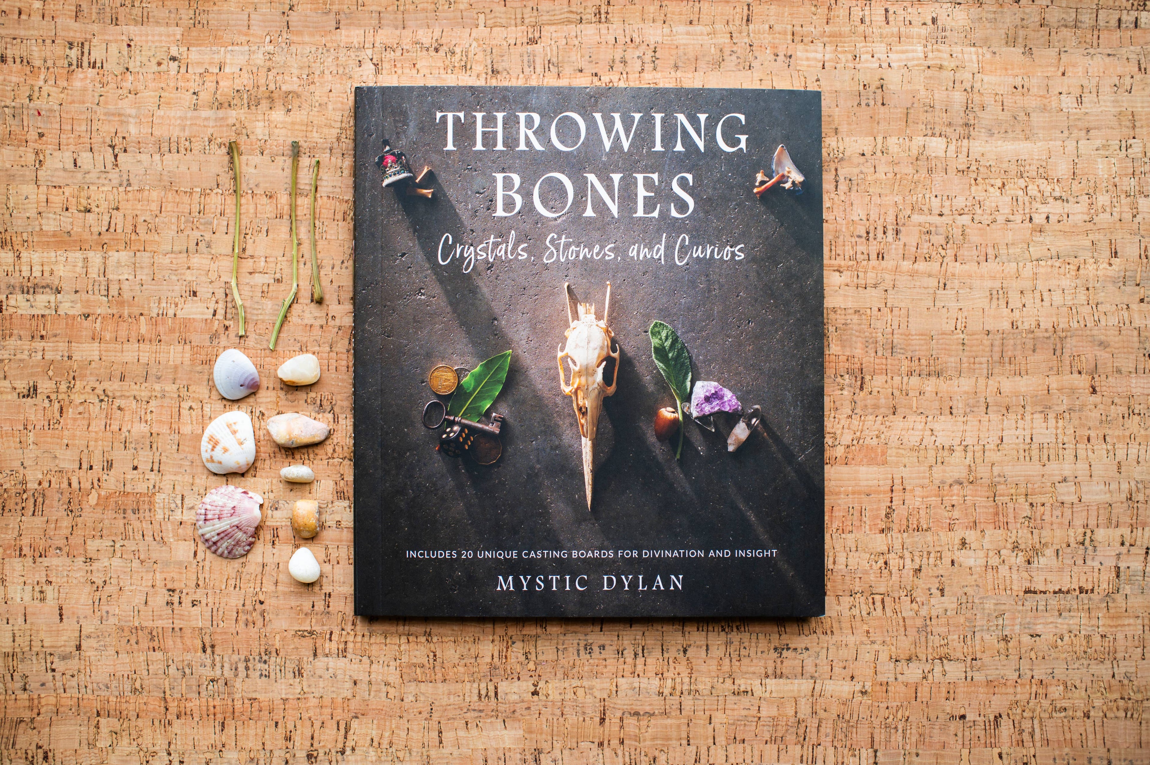 Throwing Bones: Fortune Casting with Crystals, Stones & Curios by Mystic Dylan