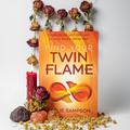 Find Your Twin Flame Hero
