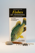 Freshwater Fishes of Tennessee Hero