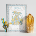 Gemini Cosmic Coloring Book Hero
