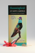 Hummingbirds of North America Hero