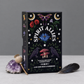 Spirit Allies Oracle Deck box with amethyst, a dried poppy stem and raven feather in a grey studio setting