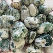 Tree Agate Tumble