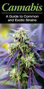 Cannabis: A Guide to Common and Exotic Strains