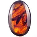 Indonesian Amber Tumbled Stone - Fossilized Resin