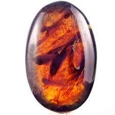 Indonesian Amber Tumbled Stone - Fossilized Resin