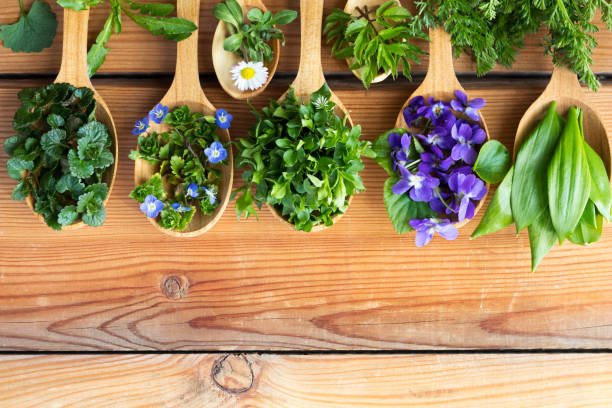 May: Wild Edibles