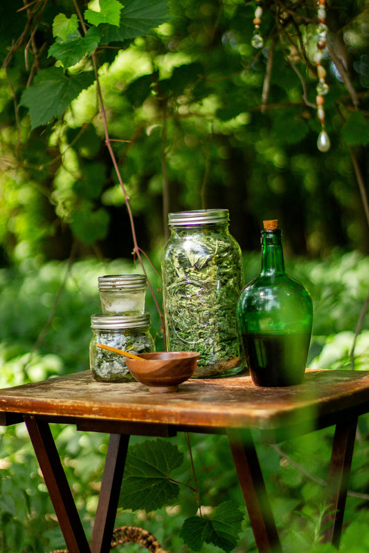 Herbal Prep for Immune Strength