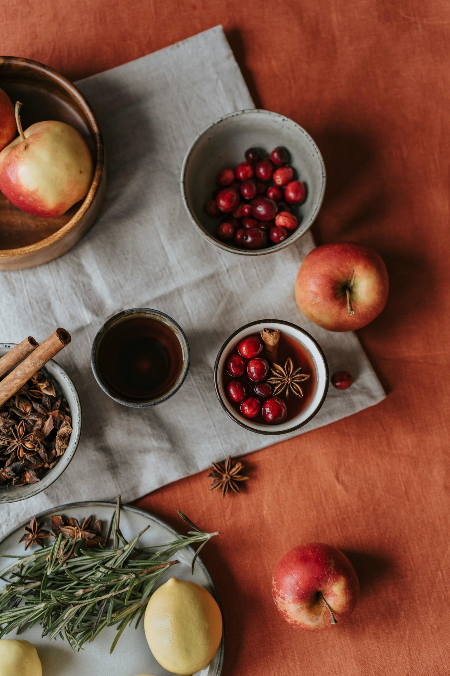 Herbal Hearth Circle: Winter Roots & Inner Stillness