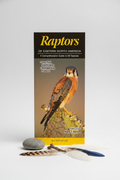 Raptors of Eastern North America Hero