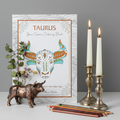 Taurus Hero Shot Revised