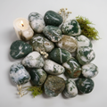 Tree Agate Hero