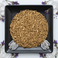 Vervain bright studio hero
